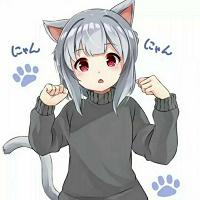 冷狐宝盒内购版